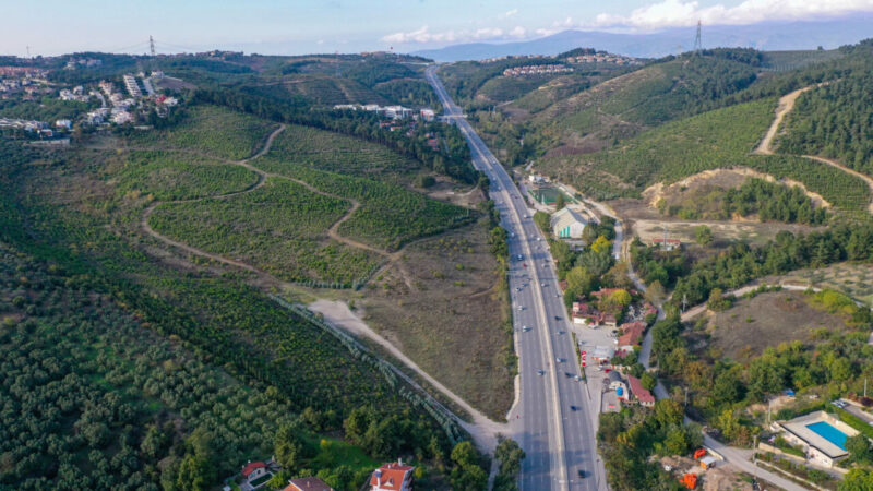 Bursa'nın Mudanya ilçesinde 2015 ve 2018'de çıkan orman yangınlarında tahrip