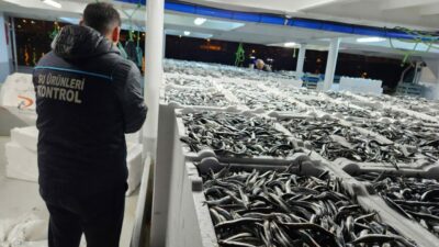 Kilosu 50 liraya düştü! Son yılların en iyisi…