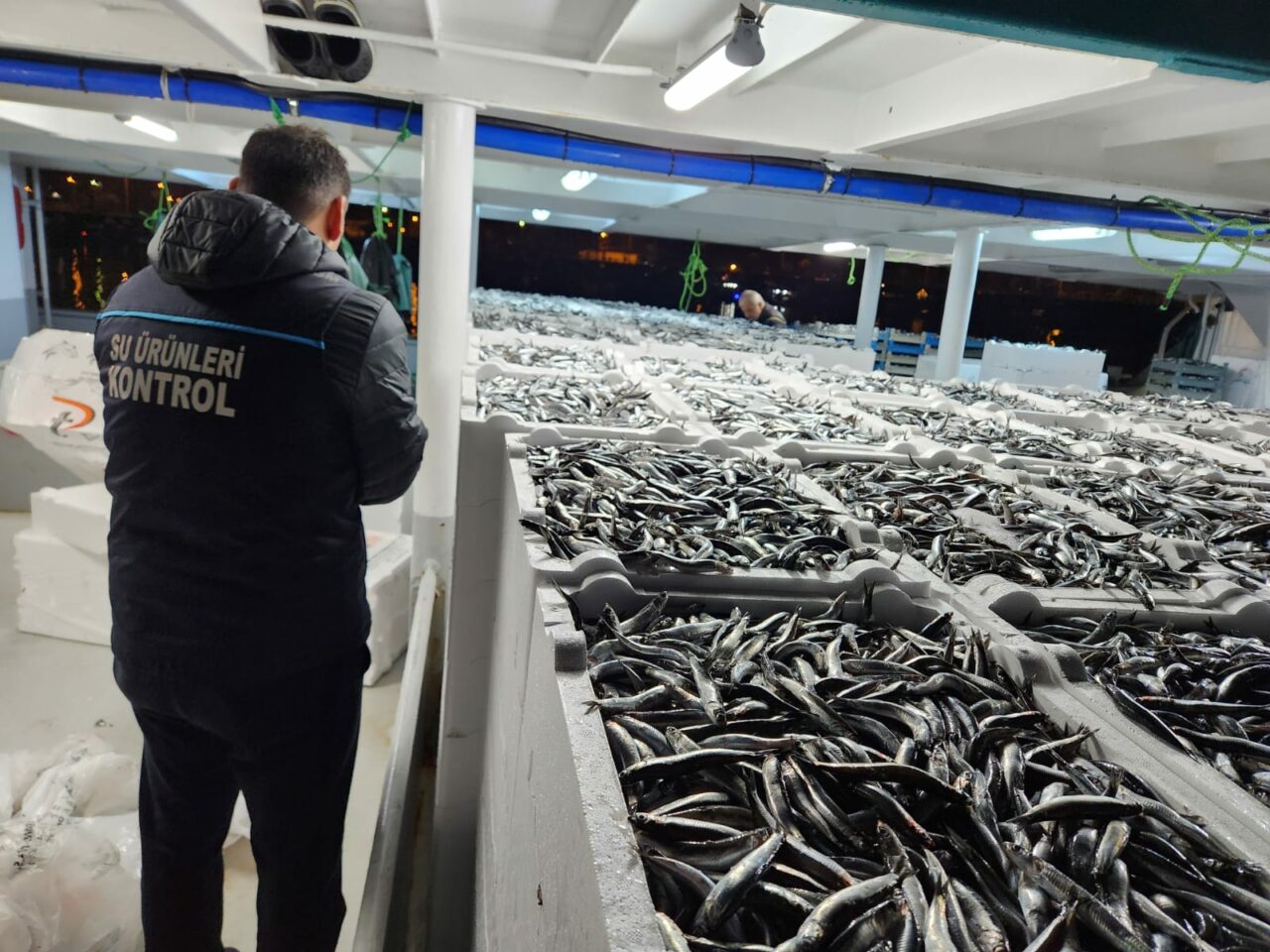 Kilosu 50 liraya düştü! Son yılların en iyisi… Kilosu 50 liraya düştü! Son yılların en iyisi…