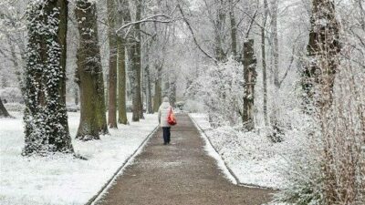 Almanya’da kar yağışı trafik kazalarına neden oldu: 3 ölü