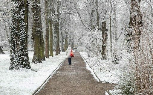 Almanya’da kar yağışı trafik kazalarına neden oldu: 3 ölü Almanya’da kar yağışı trafik kazalarına neden oldu: 3 ölü