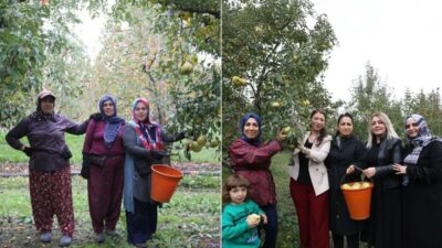 Bursa’da kadınlar tarladan mesaj verdi; ‘Bizim elimiz armut toplar!