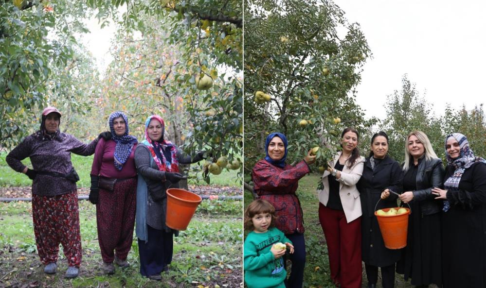 Bursa’da kadınlar tarladan mesaj verdi; ‘Bizim elimiz armut toplar!