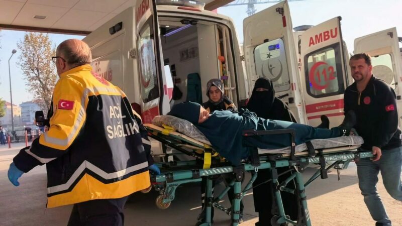 Bir zehirlenme faciası da Bursa’da! Aynı aileden 3 kişi… Bursa'nın İnegöl ilçesinde aynı aileden 3 kişi, yedikleri tavuktan zehirlenerek,