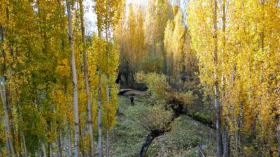 Bitlis’te sonbahar güzelliği