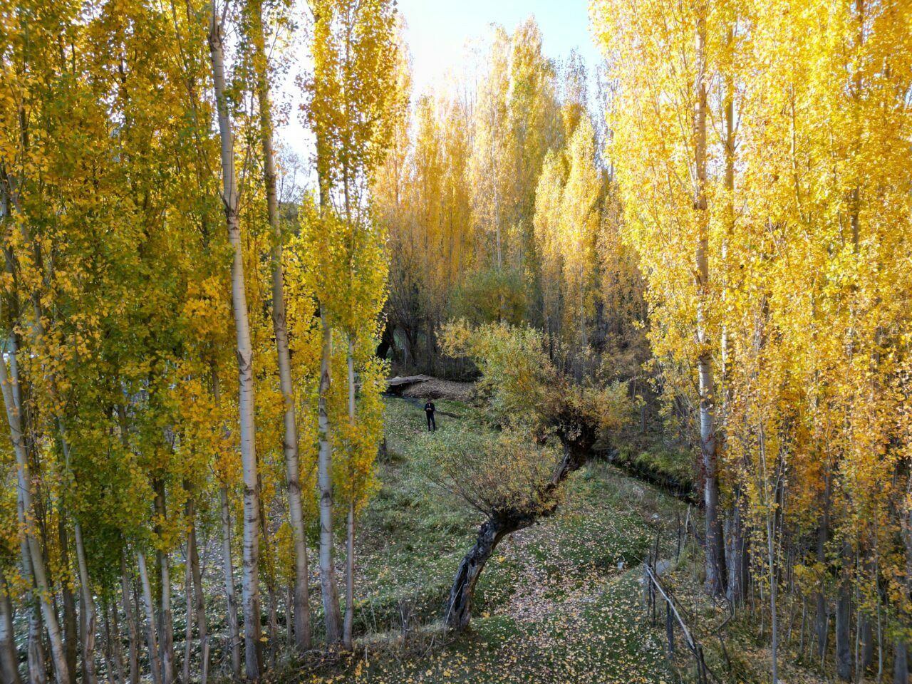 Bitlis’te sonbahar güzelliği Bitlis’te sonbahar güzelliği