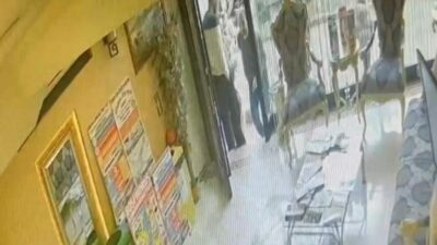 Böcek ailesinin ölümü: Yeni görüntüler ortaya çıktı