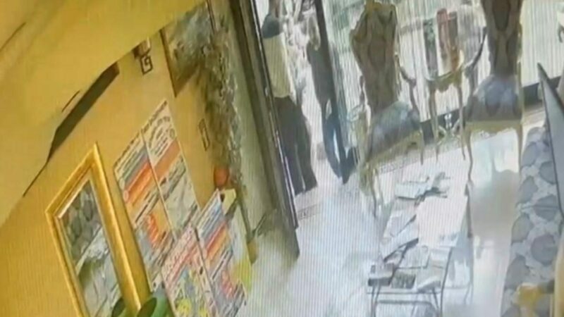 Böcek ailesinin ölümü: Yeni görüntüler ortaya çıktı