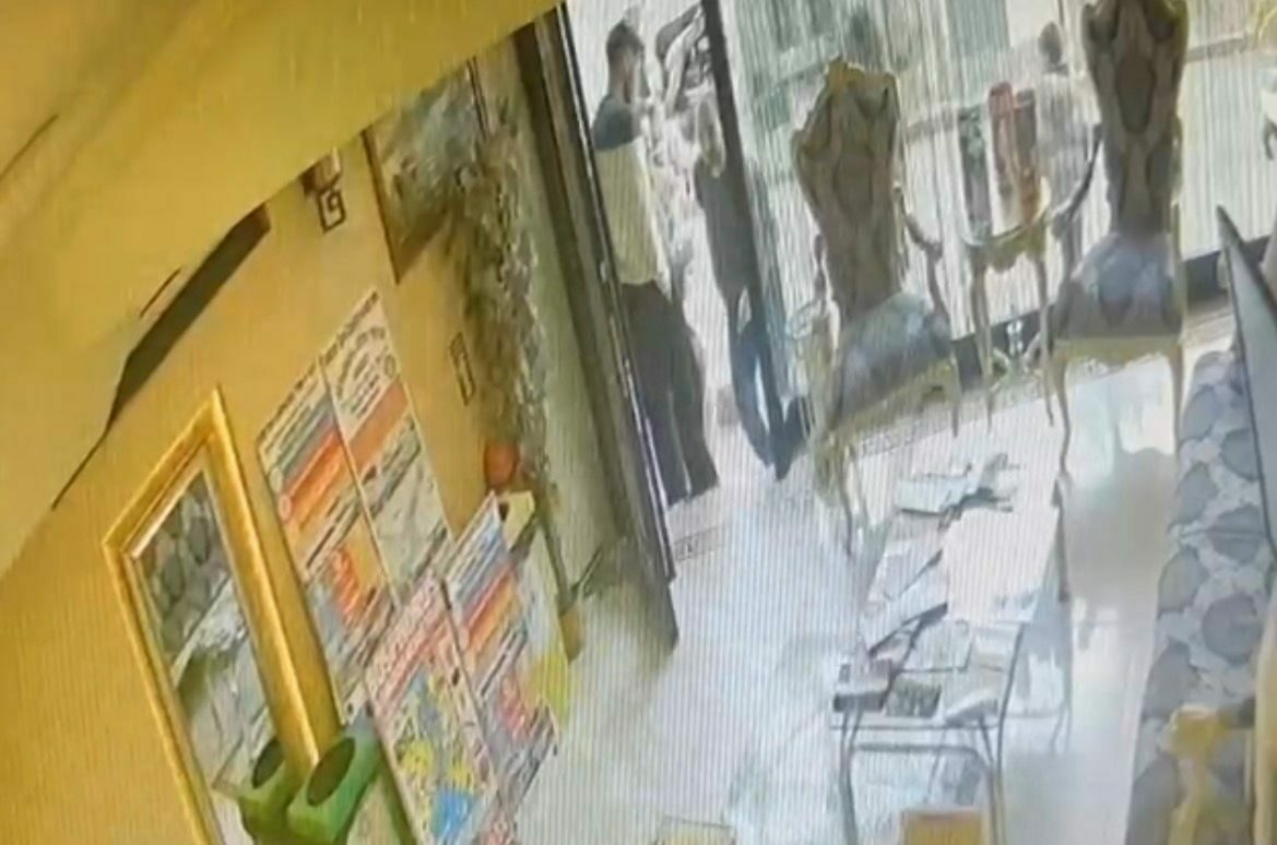 Böcek ailesinin ölümü: Yeni görüntüler ortaya çıktı