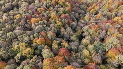 Renk cümbüşü! Muhteşem sonbahar manzaraları…