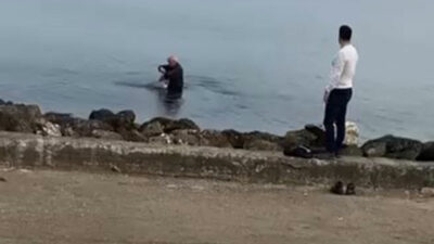 Bursa sahillerinde oltaya takıldı…