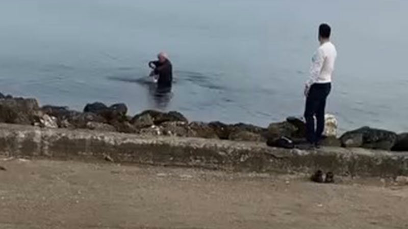 Bursa sahillerinde oltaya takıldı… Bursa’nın Mudanya ilçesi Güzelyalı sahilinde oltaların misina ve kancalarına takılarak