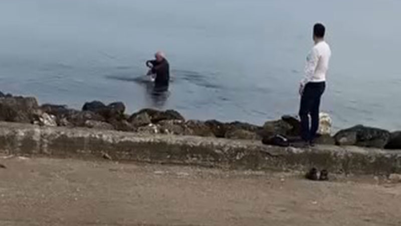 Bursa sahillerinde oltaya takıldı…