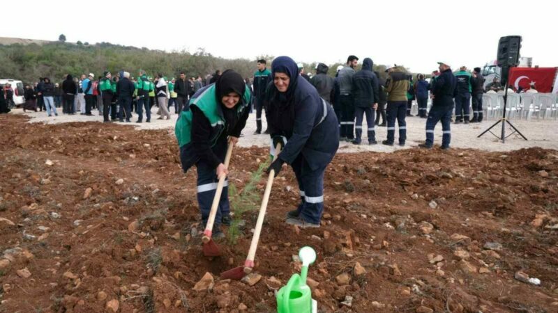 Bursa İnegöl’de yeşil vatan seferberliği Bursa’nın İnegöl ilçesinde Milli ağaçlandırma seferberliği kapsamında binlerce fidan toprakla