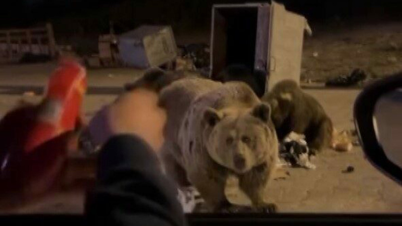 Bursa Uludağ’da tehlikeli anlar! Ölümden döndüler Bursa Uludağ’da tehlikeli anlar! Ölümden döndüler