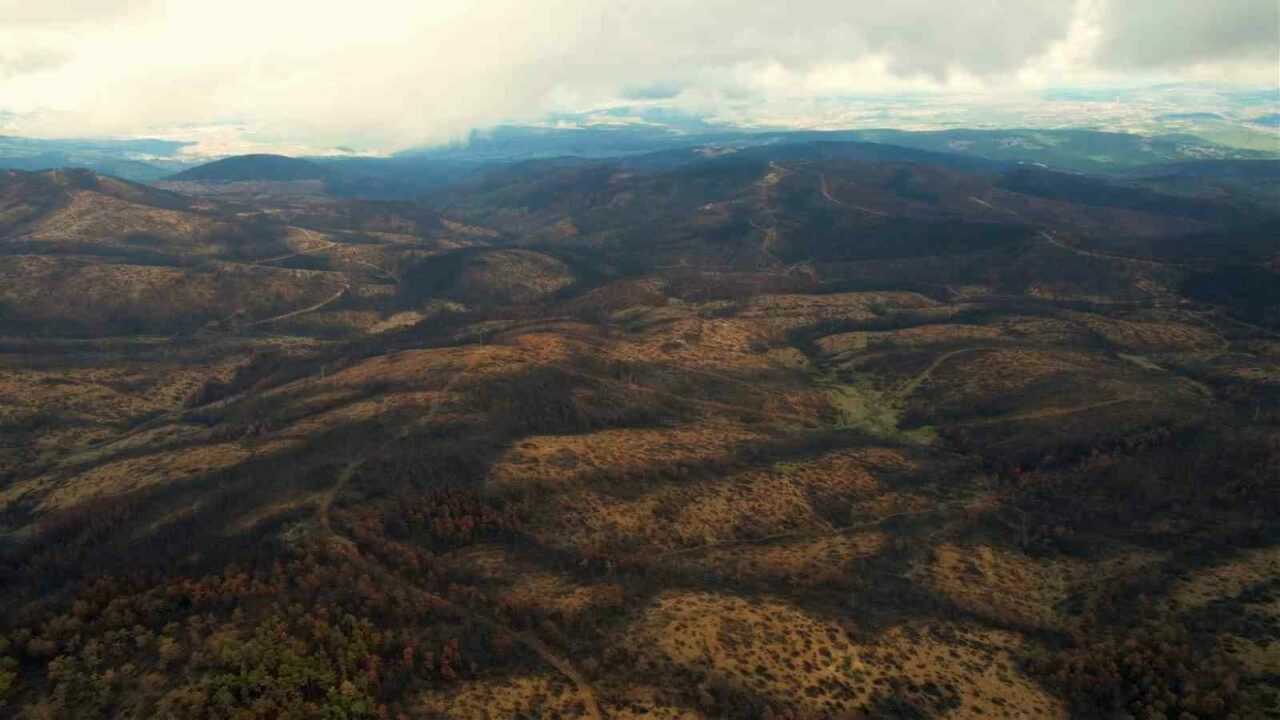 Bursa’da 953 hektar kül oldu! Bursa’da 953 hektar kül oldu!