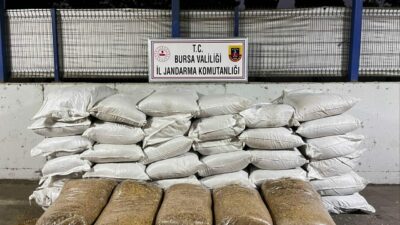 Bursa’da ‘kaçak tütün’ operasyonu! Çok sayıda gözaltı