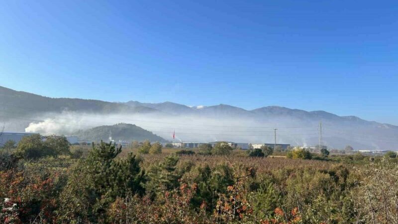 Bursa’ya acil önlem çağrısı! İki ilçede dumanlar yükseliyor…