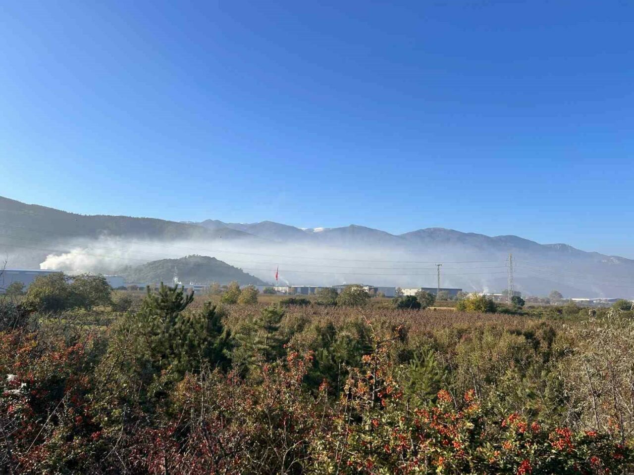 Bursa’ya acil önlem çağrısı! İki ilçede dumanlar yükseliyor… Bursa’ya acil önlem çağrısı! İki ilçede dumanlar yükseliyor…