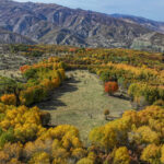 Diyarbakır Kulp’ta sonbahar renkleri