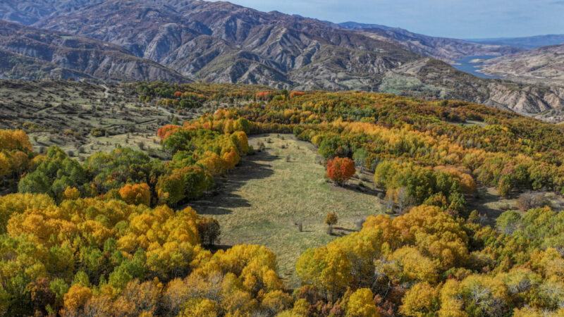 Diyarbakır Kulp’ta sonbahar renkleri
