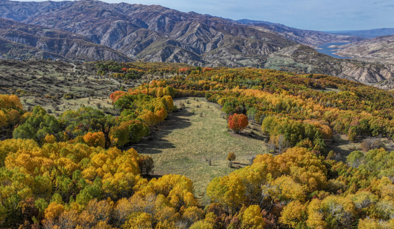 Diyarbakır Kulp’ta sonbahar renkleri Diyarbakır Kulp’ta sonbahar renkleri