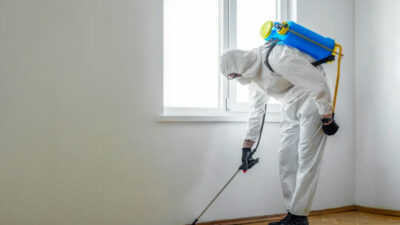 Her evde var: Böcek ilaçları ne kadar zehirliyor?