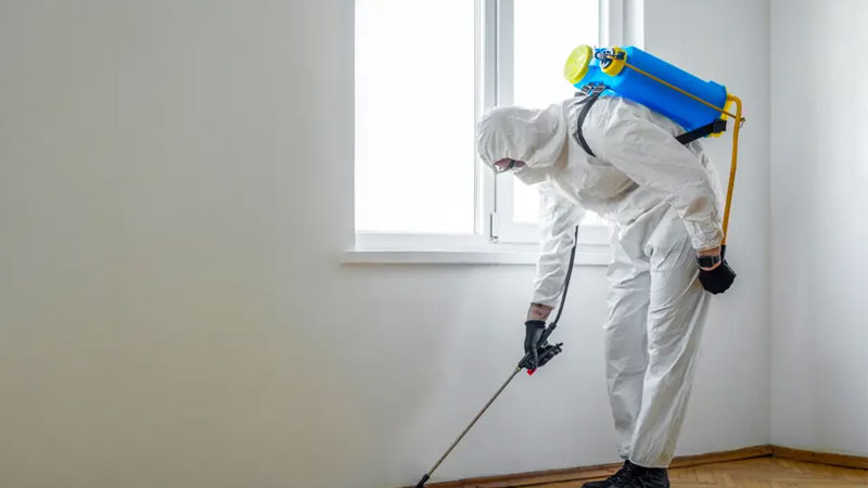 Her evde var: Böcek ilaçları ne kadar zehirliyor?