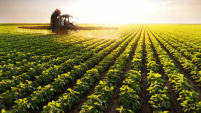 Bursa’ya bereket: Üreticiye destek programı başladı! İşte ilçe bazlı verilecek ürünler