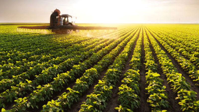 Bursa’ya bereket: Üreticiye destek programı başladı! İşte ilçe bazlı verilecek ürünler Bursa’ya bereket: Üreticiye destek programı başladı! İşte ilçe bazlı verilecek ürünler