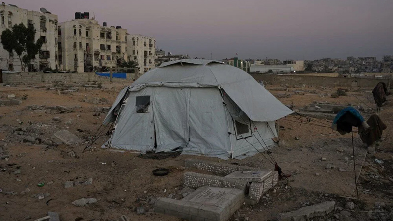 Ölülerin arasında yaşam! Ölülerin arasında yaşam!