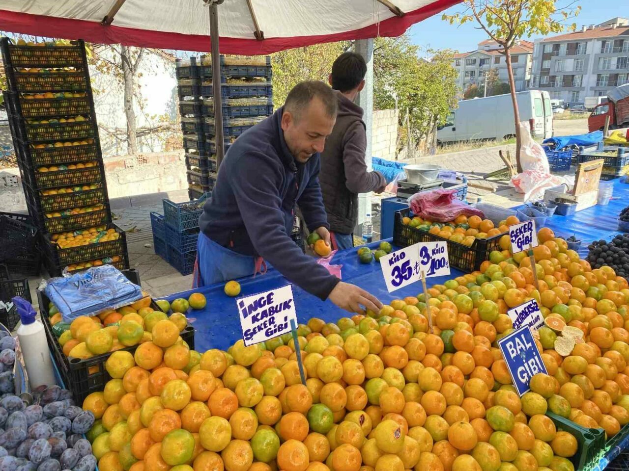 Geçen seneye göre fiyatı yüzde 30 düştü