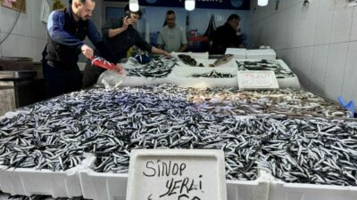 Hamsi bolluğu! Kilosu 50 liraya indi