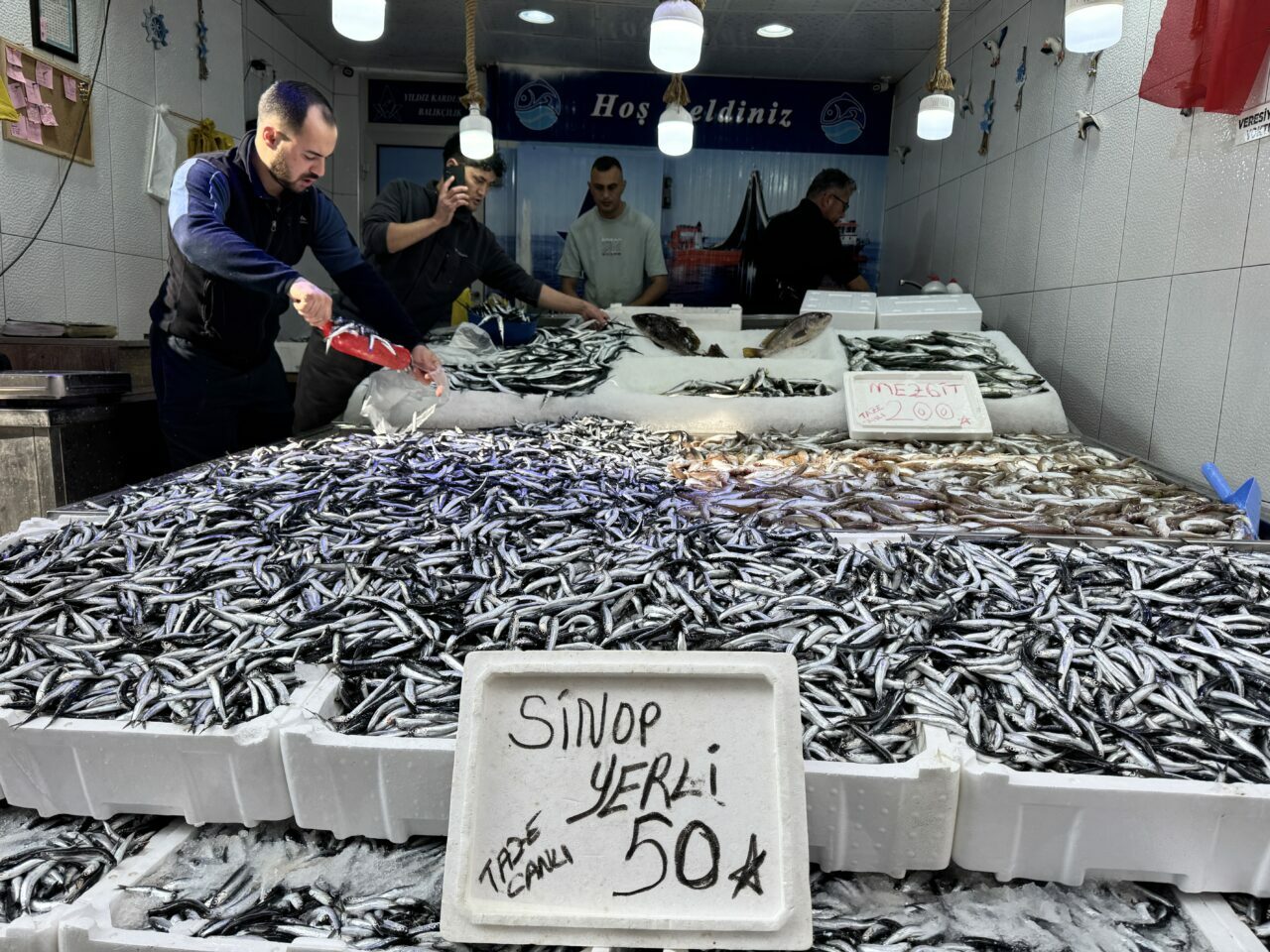 Hamsi bolluğu! Kilosu 50 liraya indi Hamsi bolluğu! Kilosu 50 liraya indi