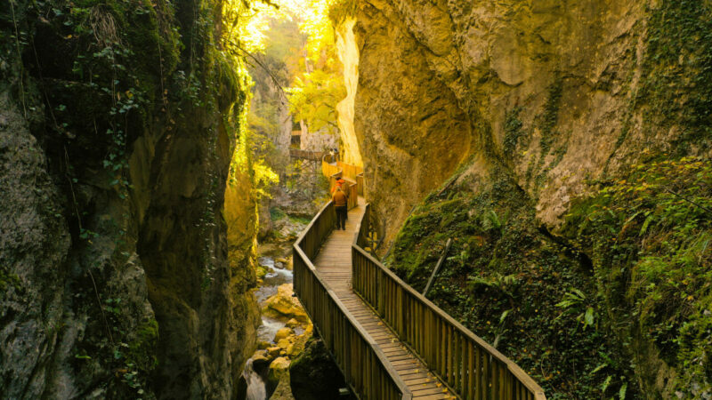 İçinden sonbaharın geçtiği kanyon! Kartpostallık görüntüler
