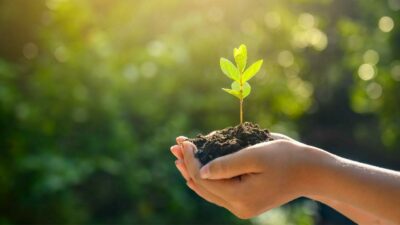 İki bakanlıktan yeşil vatan iş birliği