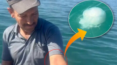 Dokunanı yakıyor! Her yeri sardı…