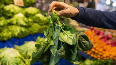 Ispanak sanıp yediler! 11 kişi hastanelik oldu