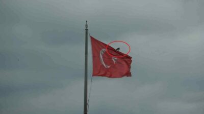 Karganın Türk bayrağı inadı
