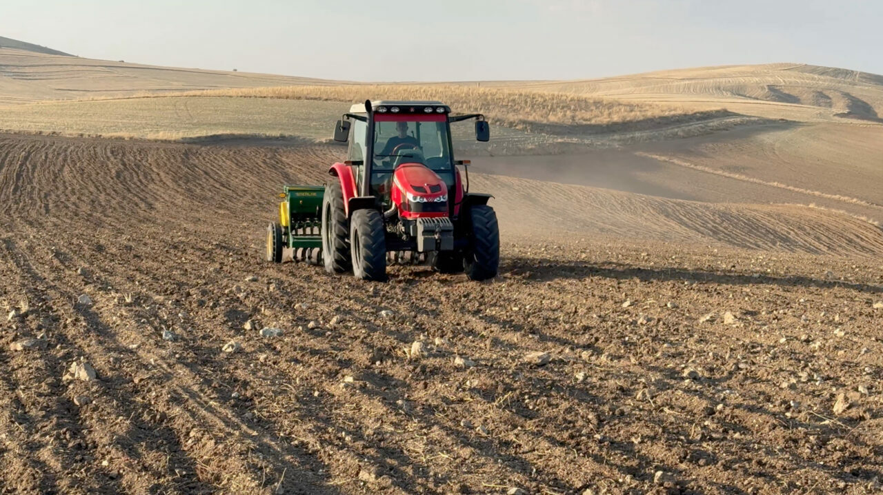 Kuraklık nedeniyle buğday ekimi kasım ayına sarktı