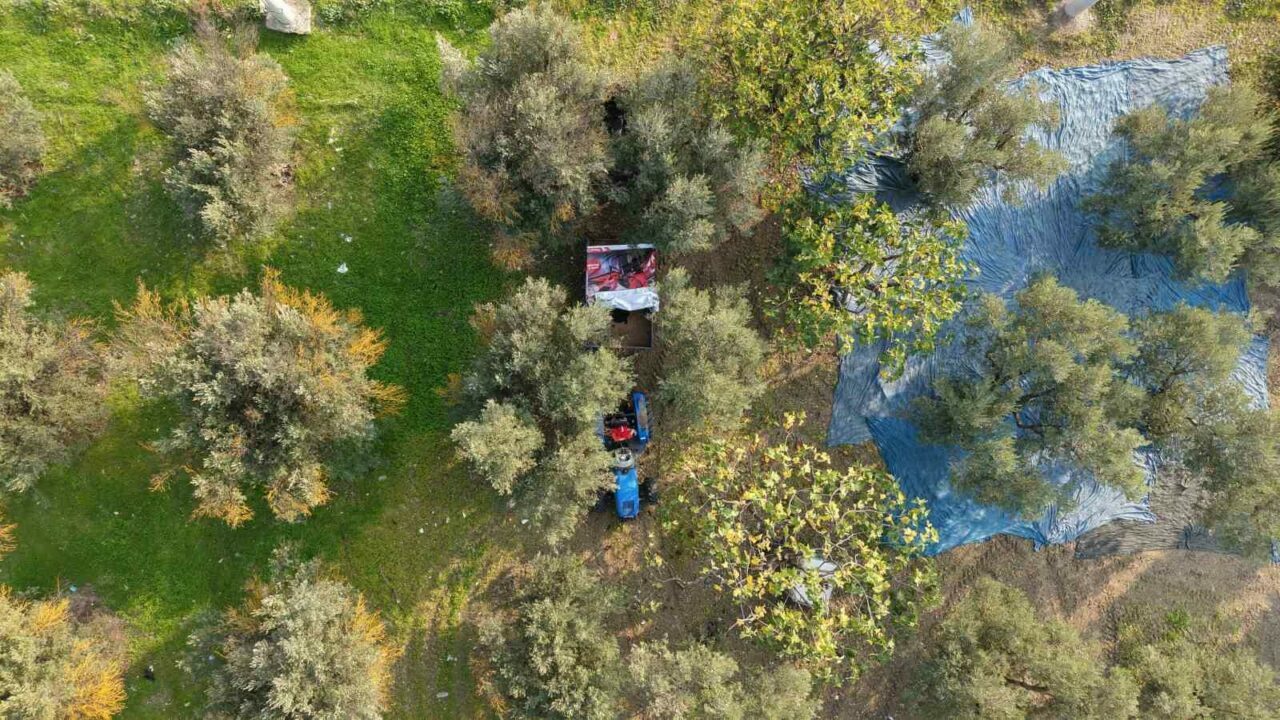 Marmarabirlik’ten 50 milyon dolarlık ihracat hedefi Marmarabirlik’ten 50 milyon dolarlık ihracat hedefi