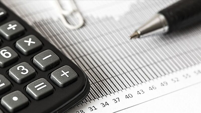 10 ayda 50 bin mükellefi incelendi