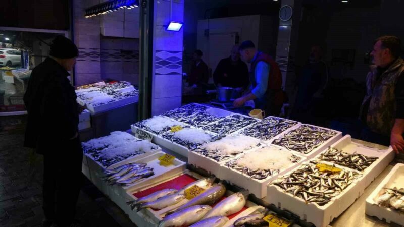 Balık bereketi! Kilosu 50 liraya düştü!