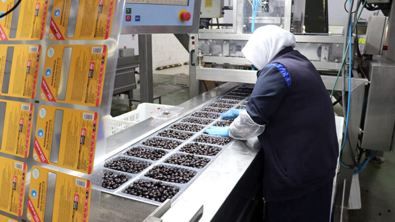 Marmarabirlik’in yeni hedefi Orta Doğu