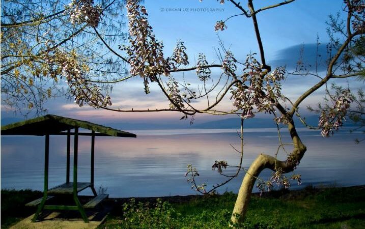 Bursa’da bir zamanlar suyu içiliyordu, şimdi bataklığa döndü!