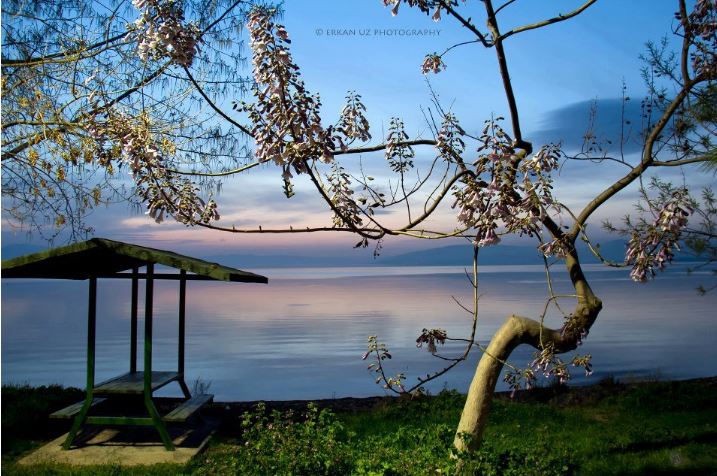 Bursa’da bir zamanlar suyu içiliyordu, şimdi bataklığa döndü!