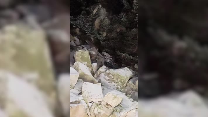 Çankırı’da yiyecek arayan vaşak böyle görüntülendi