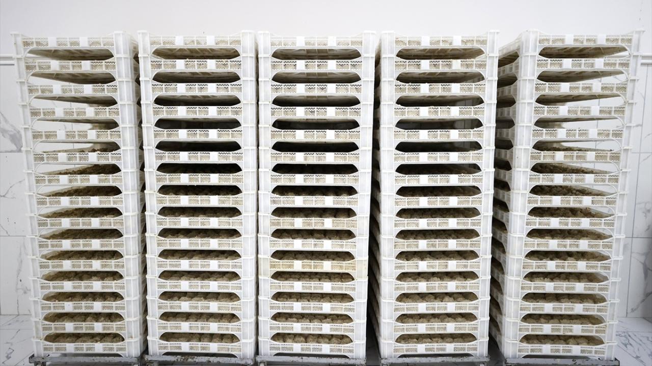 Günde 750 kilogram üretiyor! İhracata hazırlanıyor… Günde 750 kilogram üretiyor! İhracata hazırlanıyor…