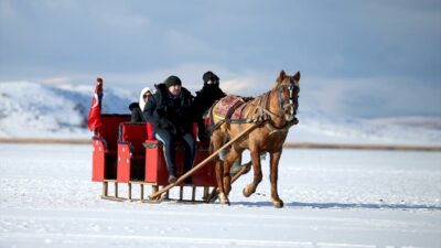 Atlı kızak heyecanı! Buzda safari…