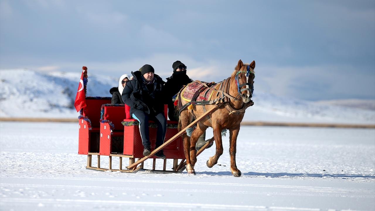 Atlı kızak heyecanı! Buzda safari… Atlı kızak heyecanı! Buzda safari…